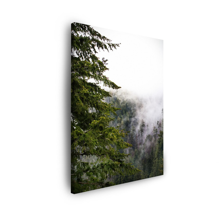 Obraz na płótnie Natura Góry mgła las 30x40 cm