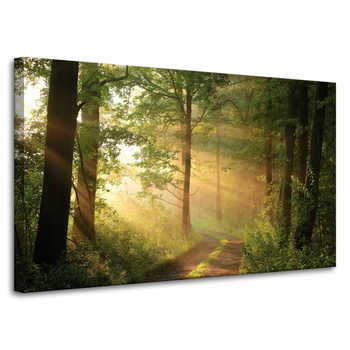 Obraz na płótnie Światło Słońca Las Ścieżka Natura 100x60 cm