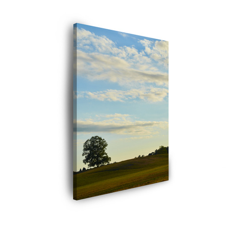 Obraz na płótnie Natura Drzewko w polu 30x40 cm